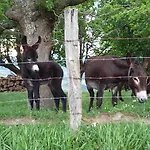 Urkulu Landetxea