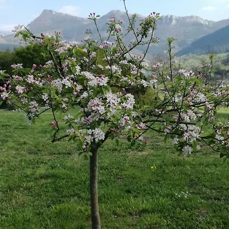 Casa rural Urkulu Landetxea Arechavaleta